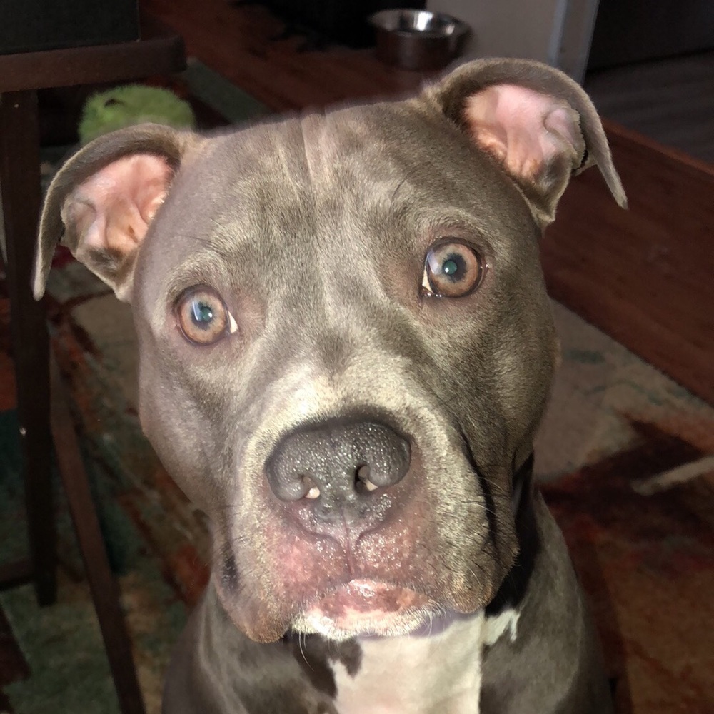 Meet your Posher, Lyndee